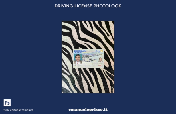 modello FRONTE photolook USA Michigan DL stile verificato